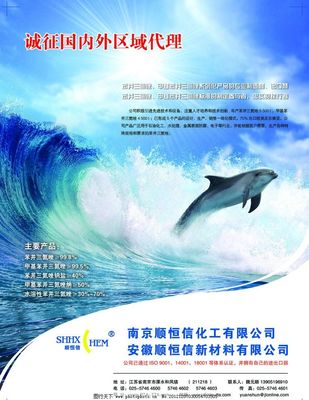 专业广告代理服务，助力品牌传播新高度