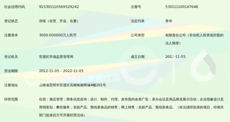 云南帝贝主题酒店管理 代理国内各类广告的创新实践